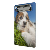 Mini Porte-bloc Chiot mignon (Shitzu) (Angle2)