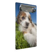Mini Porte-bloc Chiot mignon (Shitzu) (Incliné)