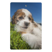 Mini Porte-bloc Chiot mignon (Shitzu) (Dos)