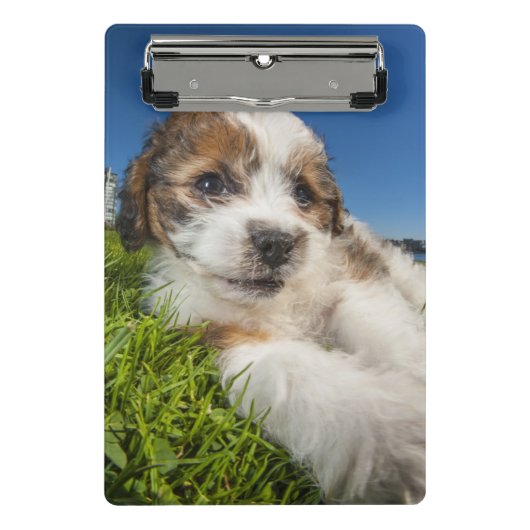 Mini Porte-bloc Chiot mignon (Shitzu) (Devant)