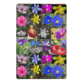 Mini Porte-bloc clipboard printemps coloré (Dos)