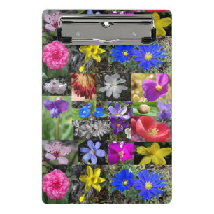 Mini Porte-bloc clipboard printemps coloré