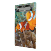 Mini Porte-bloc Clownfish (Angle2)