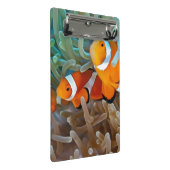Mini Porte-bloc Clownfish (Incliné)