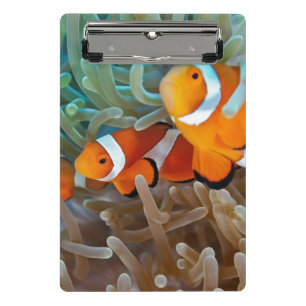 Mini Porte-bloc Clownfish