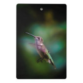 Mini Porte-bloc Colibri à gorge rubis - Photo originale (Dos)