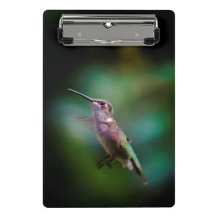 Mini Porte-bloc Colibri à gorge rubis - Photo originale