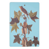 Mini Porte-bloc Colibri Audubon Traill (Dos)