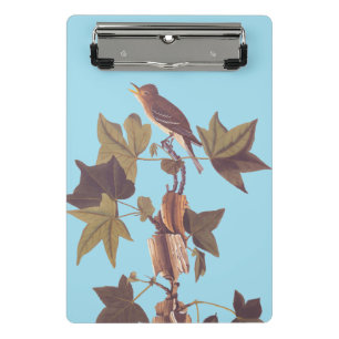 Mini Porte-bloc Colibri Audubon Traill