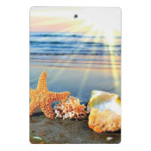 Mini Porte-bloc Coquillages marins et étoiles de mer sur la plage (Dos)