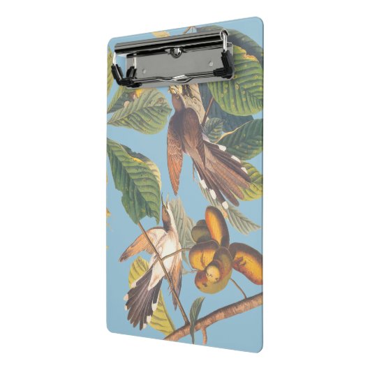 Mini Porte-bloc Coucou à bec jaune Audubon (Angle2)