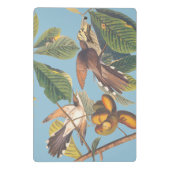 Mini Porte-bloc Coucou à bec jaune Audubon (Dos)