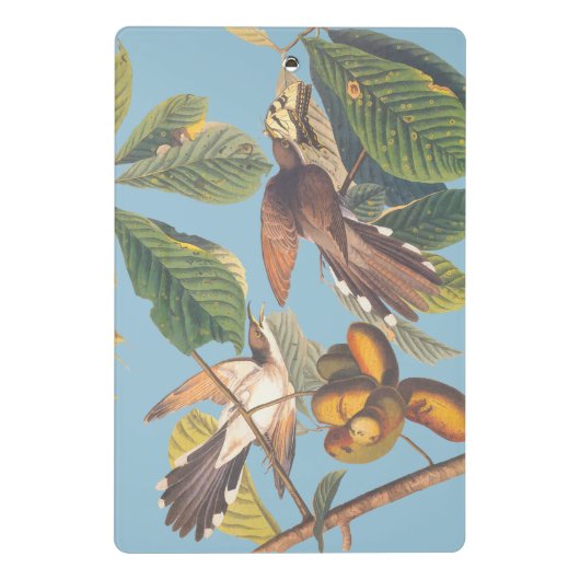 Mini Porte-bloc Coucou à bec jaune Audubon (Dos)