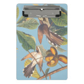 Mini Porte-bloc Coucou à bec jaune Audubon (Devant)