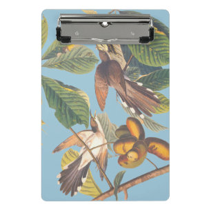 Mini Porte-bloc Coucou à bec jaune Audubon