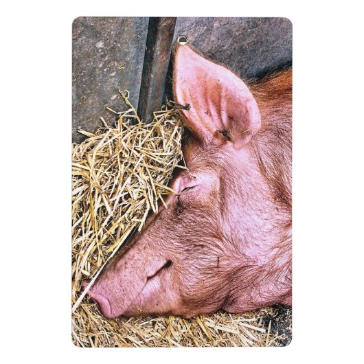 MINI PORTE-BLOC COUPER (Dos)