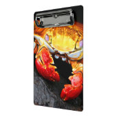 Mini Porte-bloc Crabe de Galapagos (Angle2)