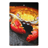 Mini Porte-bloc Crabe de Galapagos (Dos)