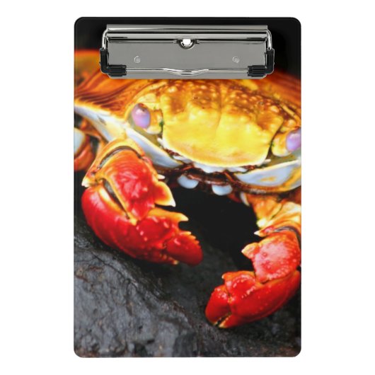 Mini Porte-bloc Crabe de Galapagos (Devant)