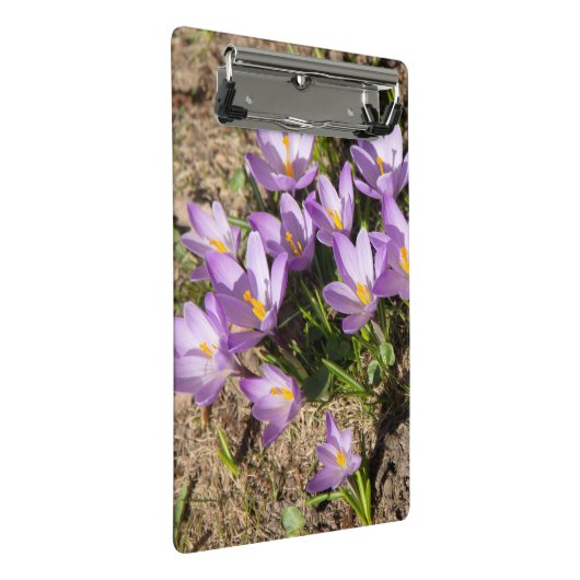 Mini Porte-bloc Crocus de printemps mignons (Incliné)