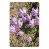 Mini Porte-bloc Crocus de printemps mignons (Dos)