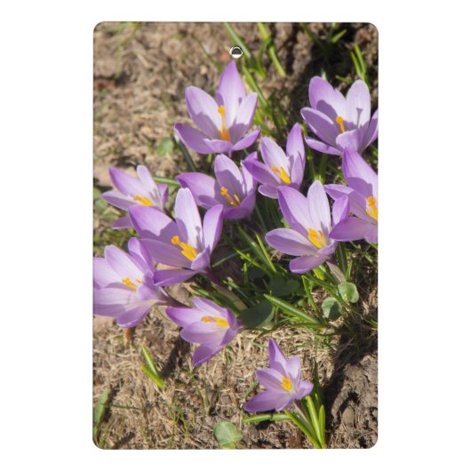 Mini Porte-bloc Crocus de printemps mignons (Dos)
