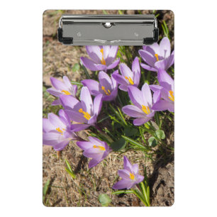 Mini Porte-bloc Crocus de printemps mignons