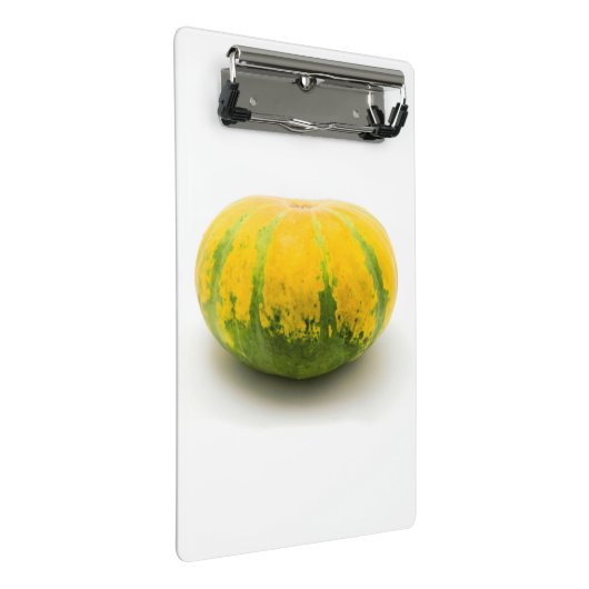 Mini Porte-bloc Cushaw squash (Incliné)