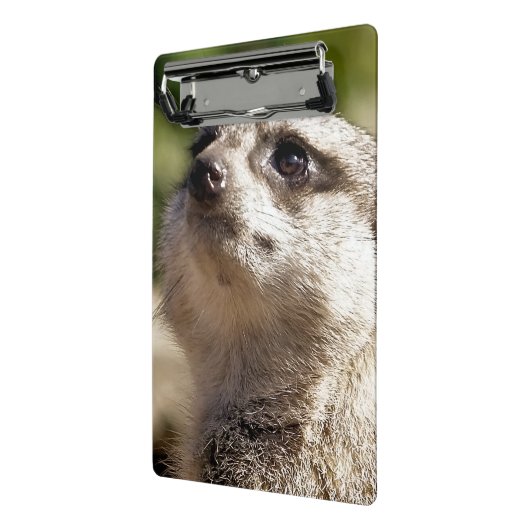 MINI PORTE-BLOC CUTE MEERKAT (Angle2)