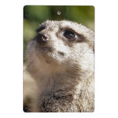 MINI PORTE-BLOC CUTE MEERKAT (Dos)