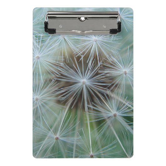 Mini Porte-bloc Dandelion blanc (Devant)