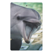 Mini Porte-bloc Dauphin des images | de Getty (Dos)