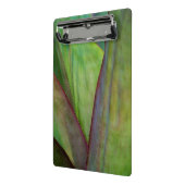 Mini Porte-bloc Détail de la plante d'Agave (Angle2)