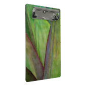 Mini Porte-bloc Détail de la plante d'Agave (Incliné)