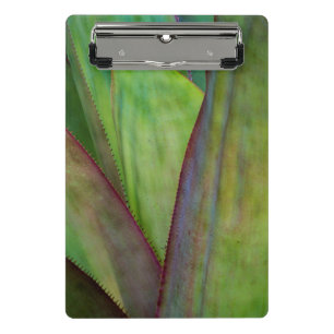 Mini Porte-bloc Détail de la plante d'Agave