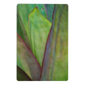 Mini Porte-bloc Détail du Plante Agave (Dos)