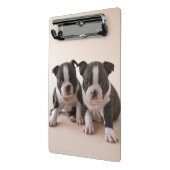 Mini Porte-bloc Deux chiots de Boston Terrier (Angle2)