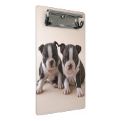 Mini Porte-bloc Deux chiots de Boston Terrier (Incliné)