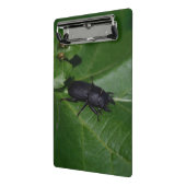 Mini Porte-bloc Dorcus parallelipipedus, le moindre dendroctone du (Angle2)