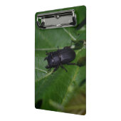 Mini Porte-bloc Dorcus parallelipipedus, le moindre dendroctone du (Angle2)
