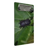 Mini Porte-bloc Dorcus parallelipipedus, le moindre dendroctone du (Incliné)