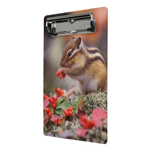 Mini Porte-bloc Écureuil (Angle2)