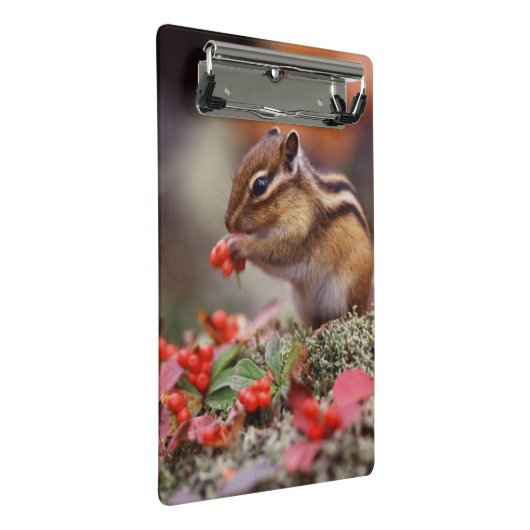 Mini Porte-bloc Écureuil (Incliné)