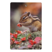 Mini Porte-bloc Écureuil (Dos)