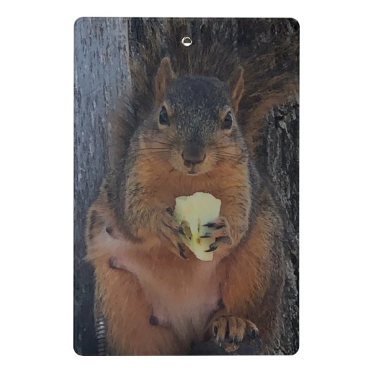 Mini Porte-bloc Écureuil (Dos)