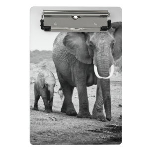 Mini Porte-bloc Éléphant africain et veaux Kenya, Afrique