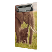 Mini Porte-bloc Éléphant et bébé des images | de Getty (Angle2)