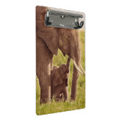 Mini Porte-bloc Éléphant et bébé des images | de Getty (Incliné)