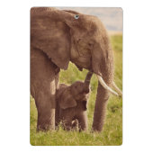 Mini Porte-bloc Éléphant et bébé des images | de Getty (Dos)