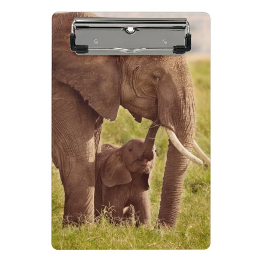 Mini Porte-bloc Éléphant et bébé des images | de Getty (Devant)